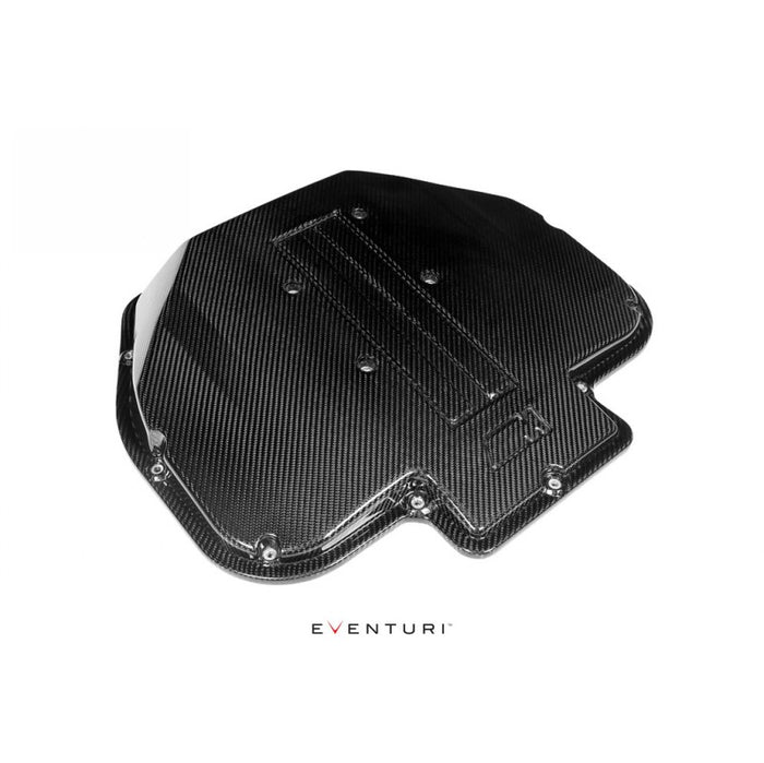 BMW E39 M5 S62 Carbon Fiber Plenum