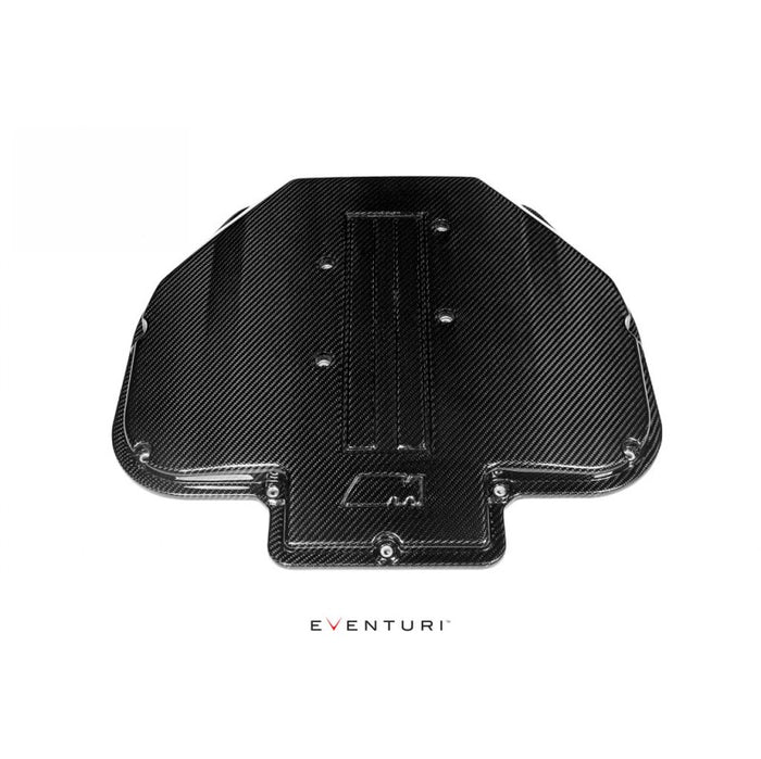 BMW E39 M5 S62 Carbon Fiber Plenum
